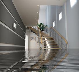 Best Basement Waterproofing & Basement Drainage System Installation in Massachusetts
